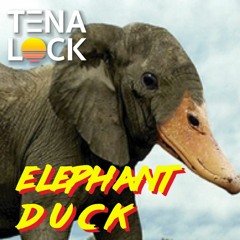 Elephant Duck