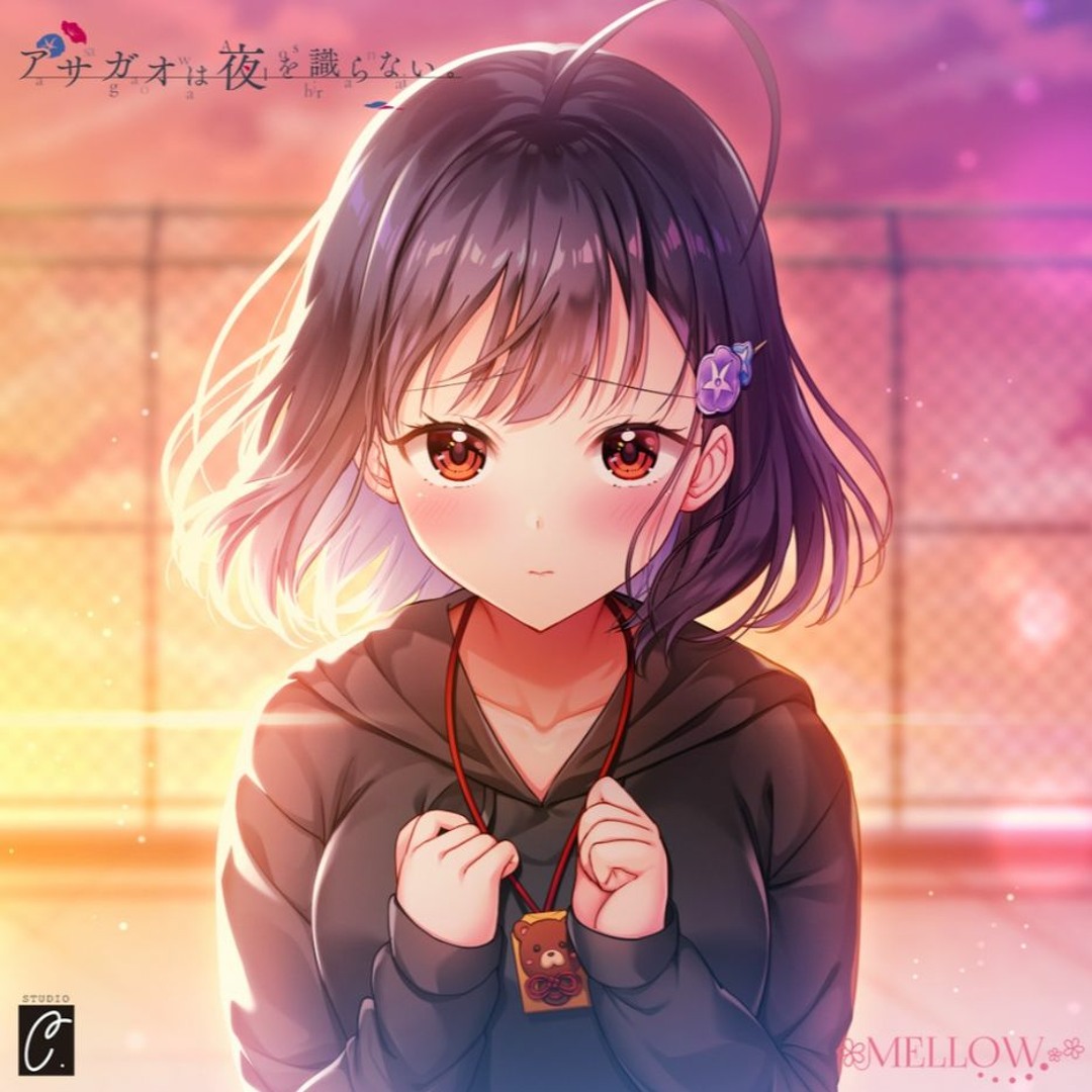 【新品未開封】 アサガオは夜を識らない Original Soundtrack Amazon.co.jp: アサガオは夜を識らない。 Original Sound Track
