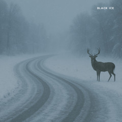 Black Ice
