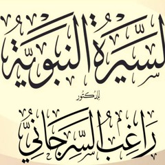 راغب السرجاني