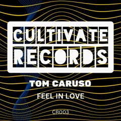 Feel In Love - (Original)