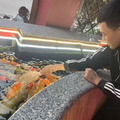 Hoa cỏ mây - Haozi