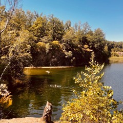 Paar Stückerl am grünen Lüngerl