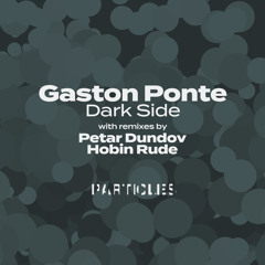 Gaston Ponte - Dark Side (Petar Dundov Remix)