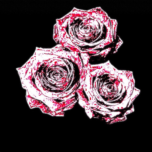 kadenn - promise not a lie