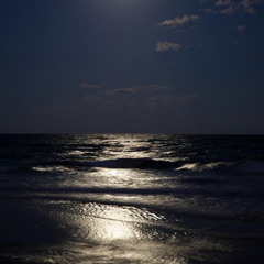 رسى موج البحر🌊