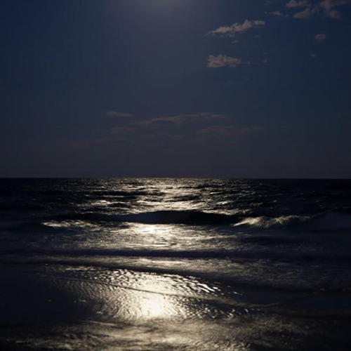 رسى موج البحر🌊