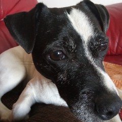 Bens_mix_techno_juin_2023.wav