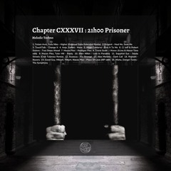 Chapter CXXXVII : 21h00 Prisoner