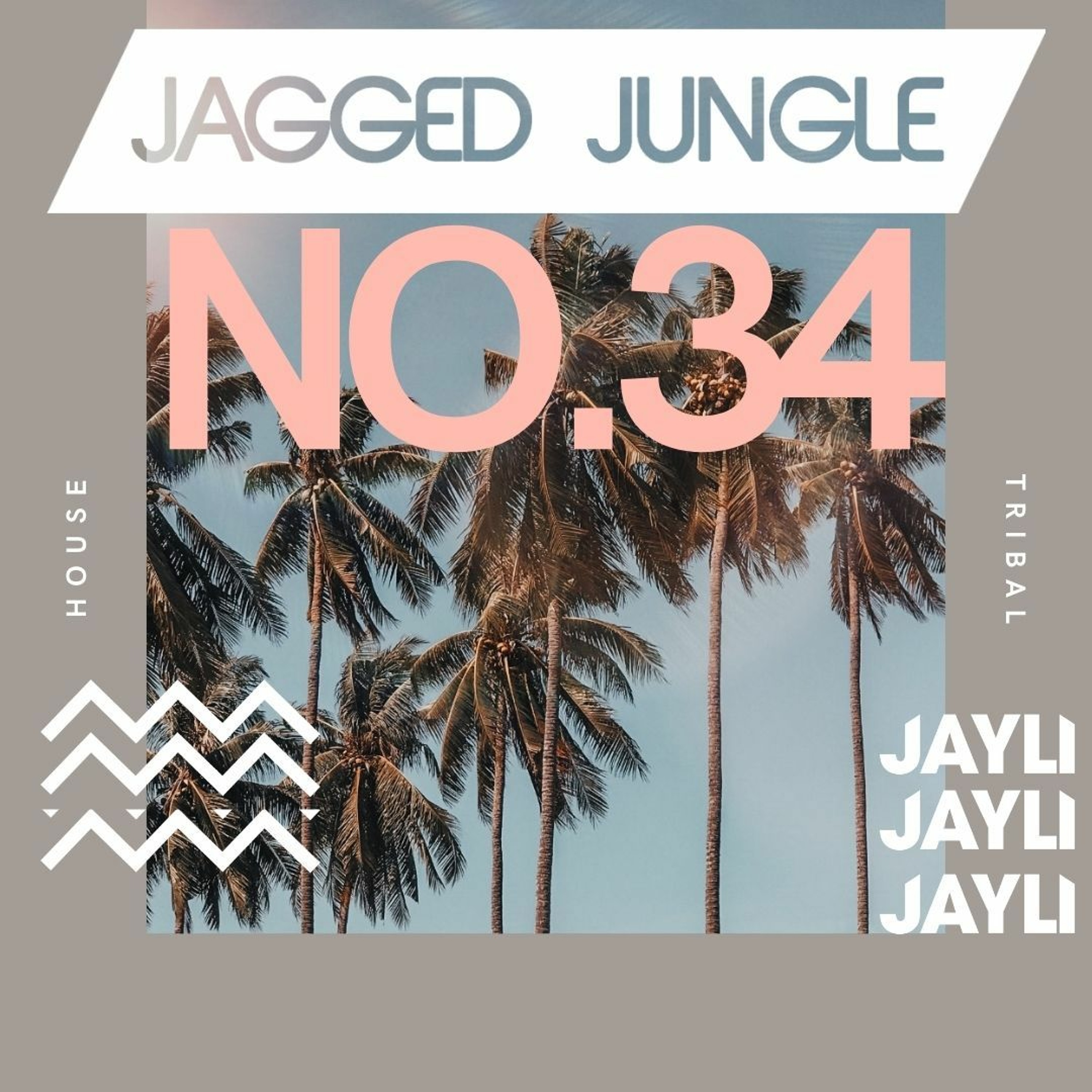 Jayli Presents: Jagged Jungle