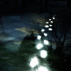 maui wowie - [nerfjayy!]