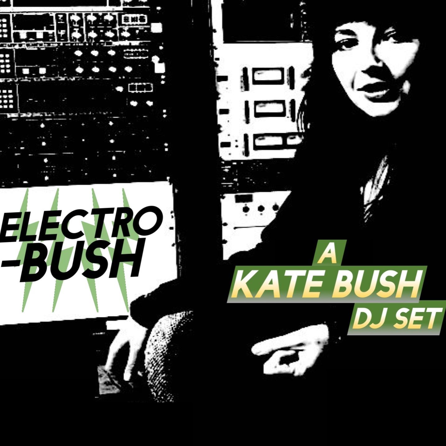 ELECTROBUSH - A Kate Bush DJ Set