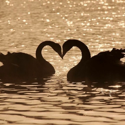 I love you jus the way you are xxxx (prod. p4ra x 5head)