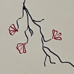 shams/vveber, improvisation, october2025