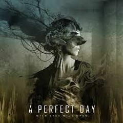 Perfect Day