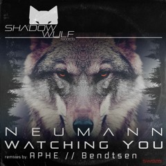 Neumann - Feel The Groove (APHE Remix)