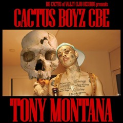 CACTUS BOYZ CBE - TONY MONTANA