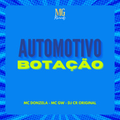 AUTOMOTIVO BOTAÇÃO