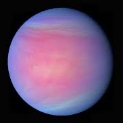 Venus 13722