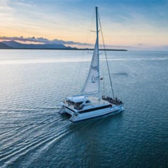 Best Cairns Luxury Catamaran Harbor And Dinner Cruise Tours Review