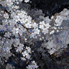 梨花又开放（cover）