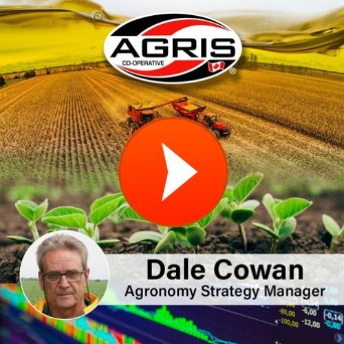 May 6, 2025 - Noon Agronomy Report