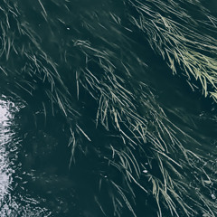 i'm scared of the ocean