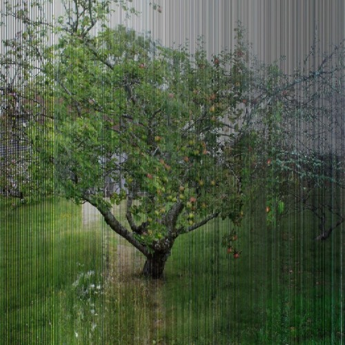 A - GARDEN