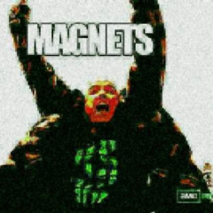 MAGNETIC FLIP