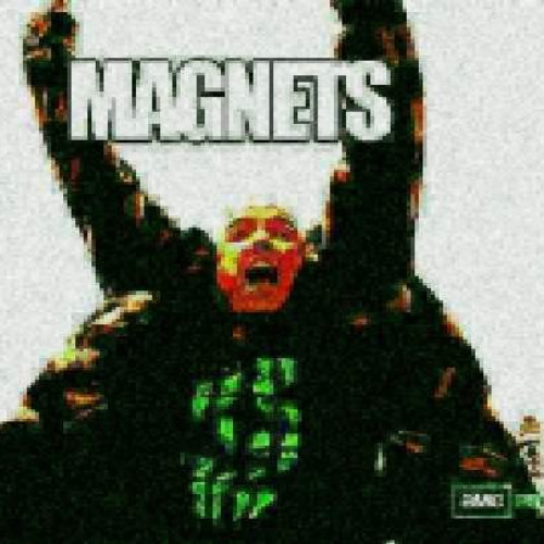 MAGNETIC FLIP