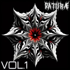 Hypnotic Groove Techno Vol. 1 (133 BPM) | DATURÆ