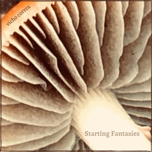 Starting Fantasies