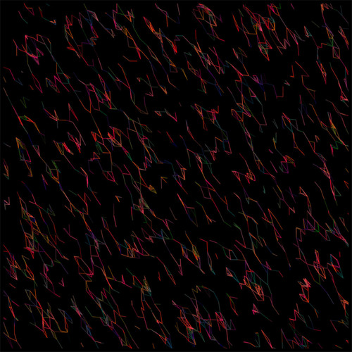 12119 [Arachnura Higginsii]