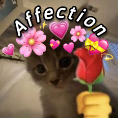 Affection