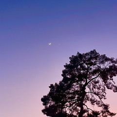 reverie (instrumental)