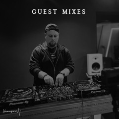 Fleanger - Guest Mixes