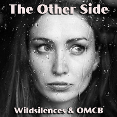 The Other Side - Wildsilences & OMCB [Music Video]