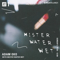 Adam Oko w/ Mister Water Wet 130222