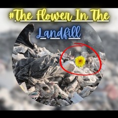 #The Flower In The Landfill
