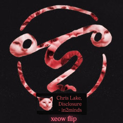 Chris Lake & Disclosure - in2minds (xeow flip)