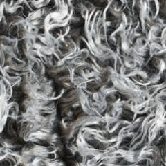 fuzzy socks
