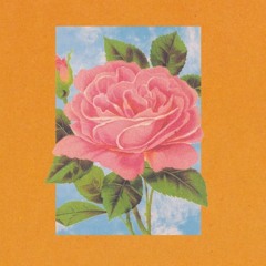 Soppgirobygget-BASSIANI-speed up