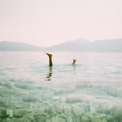 PREMIERE: Hotel Avra - I Love You So