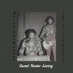 Brief Encounter - Sweet Tender Loving (A Moony Cat Filter Workout Mix)