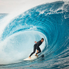 SURFS  UP