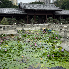 The Prince Misses Tam