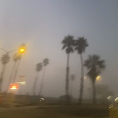 Faded in LA