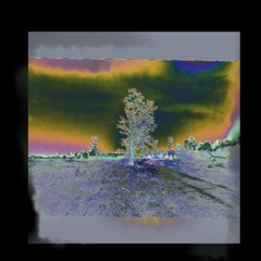 ROOT#1