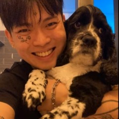 이제 강아지를 좋아하는 척은 안하지만