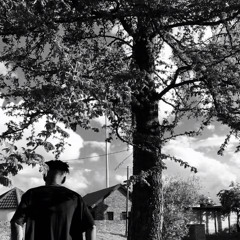 XXX STATEMENT PART.2